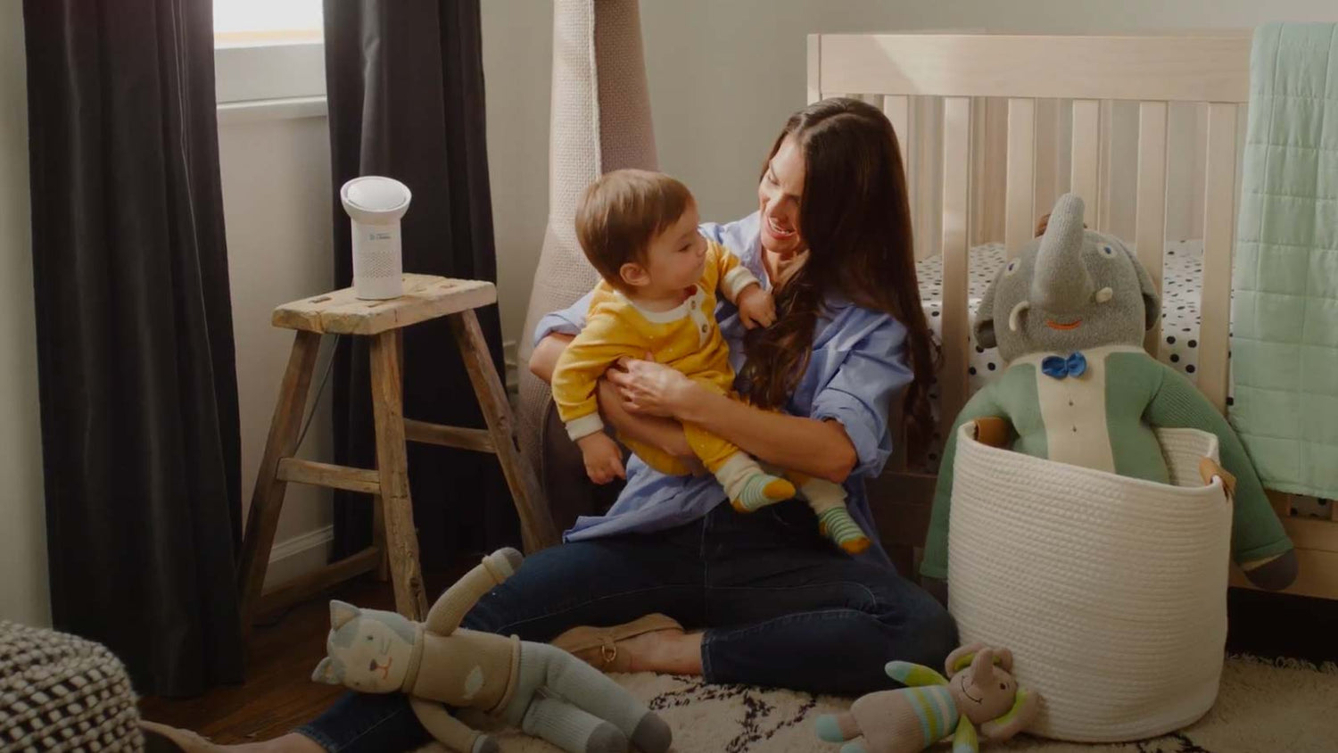 Natural Air Purification