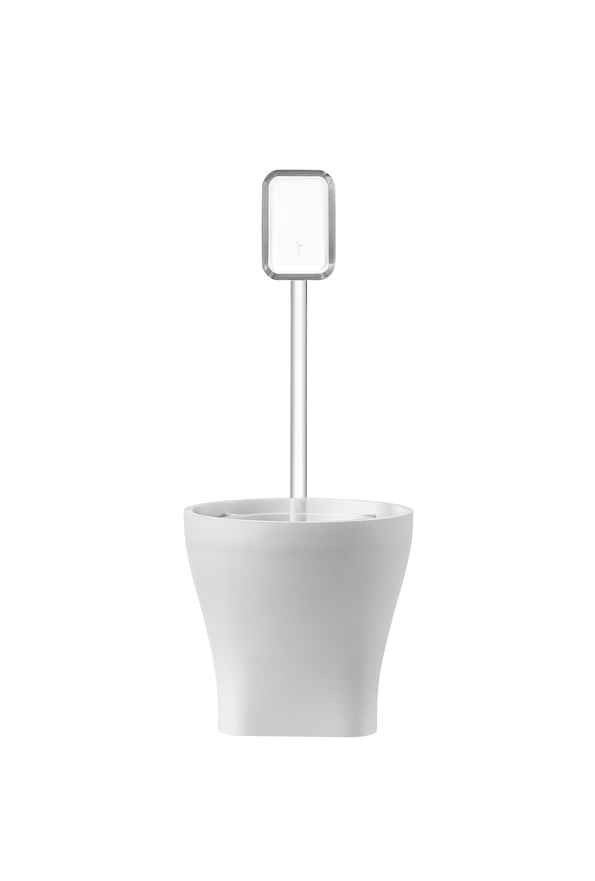 Salt Bottle